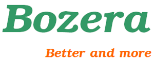 Logo of Bozera Limited
