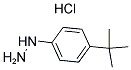 Struktur image of 4-tert-Butylphenylhydrazine hydrochloride