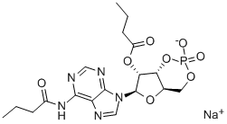 Struktur image of Bucladesine sodium