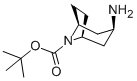 Struktur image of N-Boc-3-Amino-8-azabicyclo[3.2.1]octane