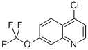 Struktur image of 4-Chloro-7-trifluoro methoxyquinoline