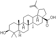 Struktur image of Betulinic acid