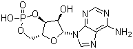 Struktur image of Adenosine cyclophosphate