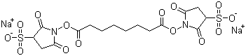 Struktur image of BSSS