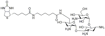 Structur of 419573-19-6