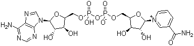 Structur of 53-84-9